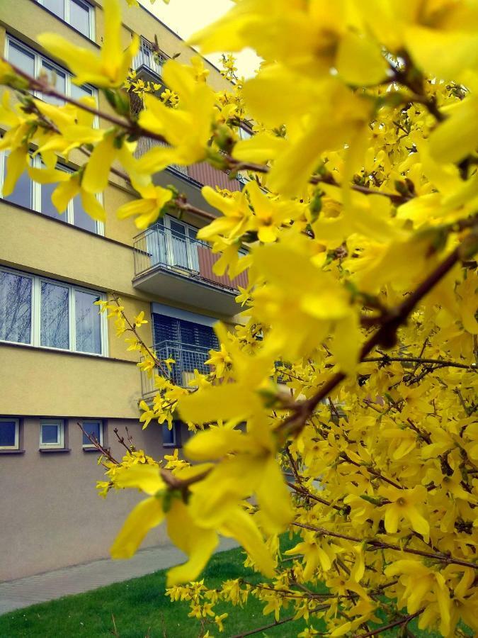 The Best Castle View-Bus Station, Parking, Center Cesky Krumlov Exterior foto